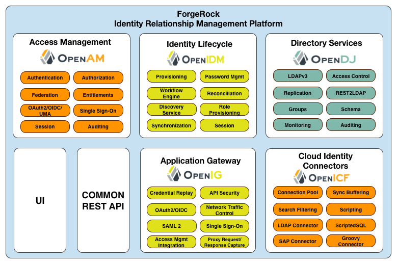 forgerock irm dpg