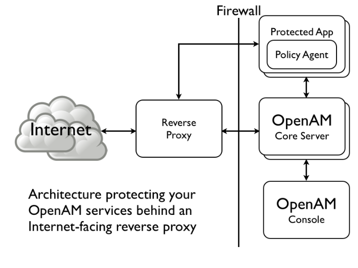 Exposing only a reverse proxy to the Internet