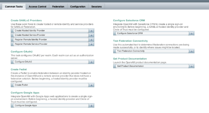 OpenAM Console home page