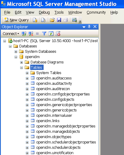 Default tables in the openidm MS SQL database